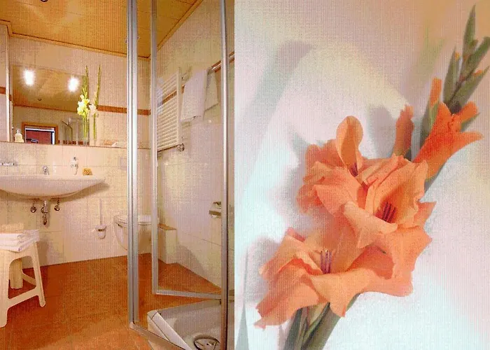 Muellers 梅德巴赫