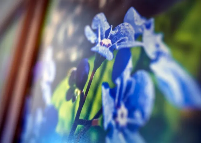 فندق Muellers ميدهباخ